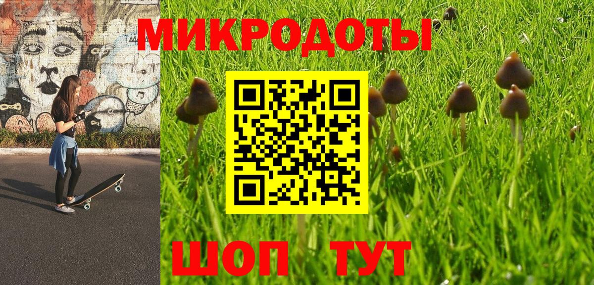 Ишим  Псилоцибиновые грибы Psilocybine cubensis  Вход с VPN 
